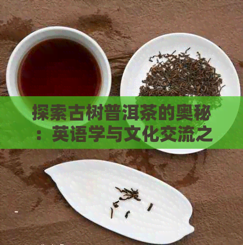 探索古树普洱茶的奥秘：英语学与文化交流之旅