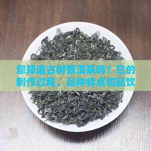 您知道古树普洱茶吗？它的制作过程、品种特点和品饮技巧都有什么要注意的？