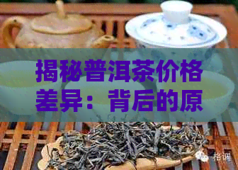 揭秘普洱茶价格差异：背后的原因与影响因素分析