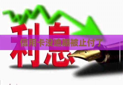 信用卡没逾期被止付了