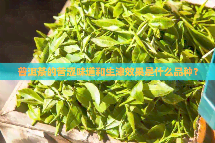 普洱茶的苦涩味道和生津效果是什么品种？