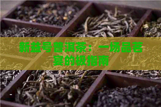 新益号普洱茶：一场品茗宴的极指南