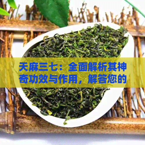 天麻三七：全面解析其神奇功效与作用，解答您的健疑问