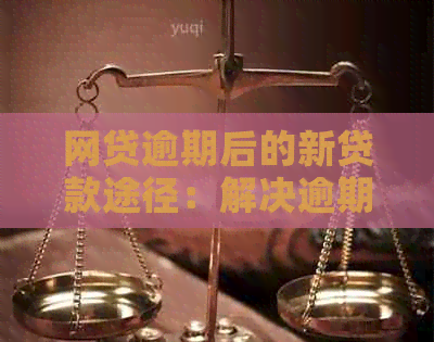 网贷逾期后的新贷款途径：解决逾期问题，重新开始