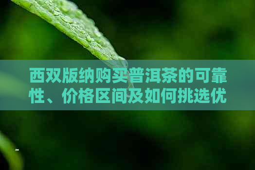 西双版纳购买普洱茶的可靠性、价格区间及如何挑选优质普洱茶全面解析