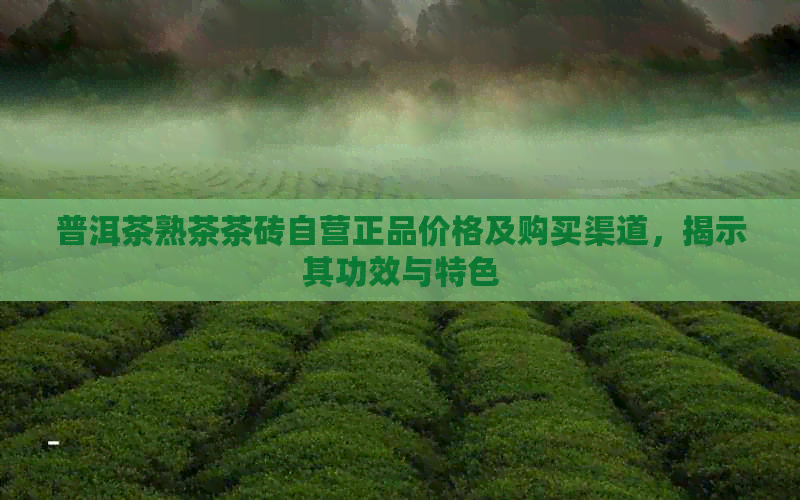 普洱茶熟茶茶砖自营正品价格及购买渠道，揭示其功效与特色