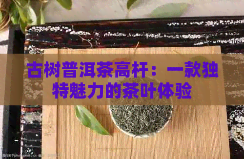 古树普洱茶高杆：一款独特魅力的茶叶体验