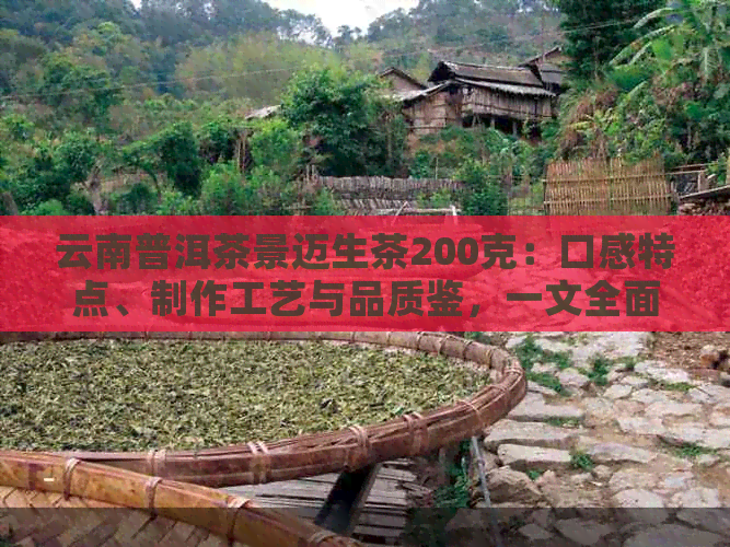 云南普洱茶景迈生茶200克：口感特点、制作工艺与品质鉴，一文全面解析