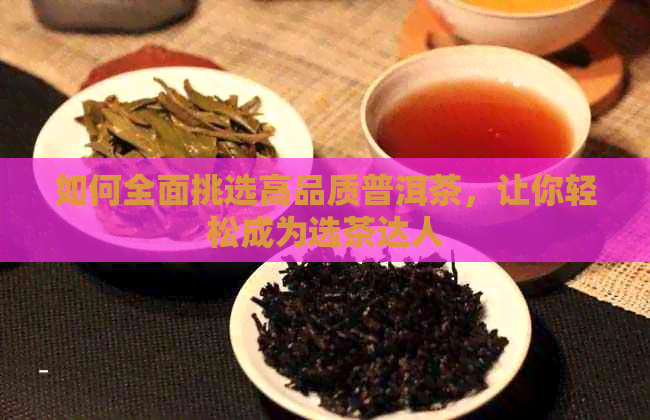 如何全面挑选高品质普洱茶，让你轻松成为选茶达人