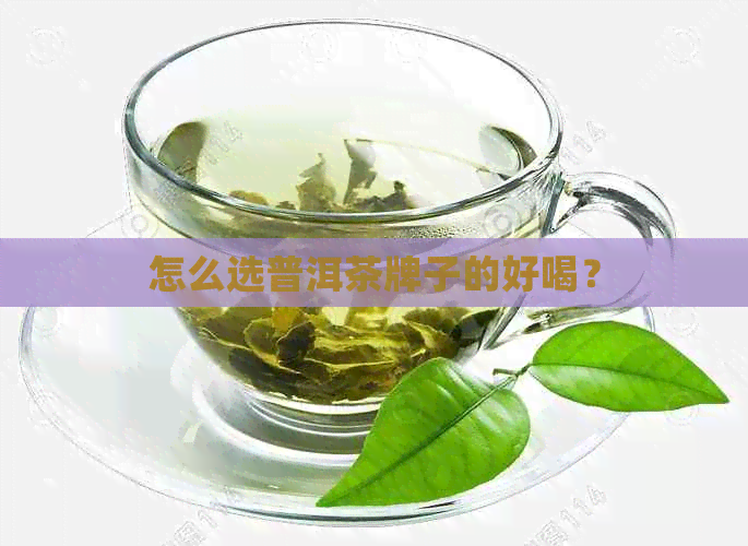 怎么选普洱茶牌子的好喝？