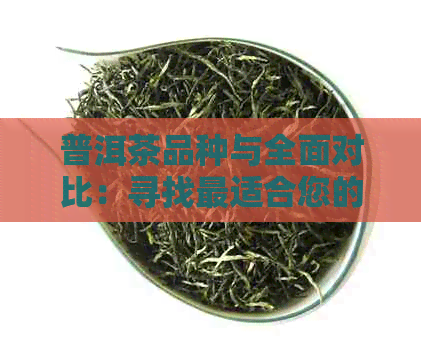 普洱茶品种与全面对比：寻找最适合您的优质茶叶