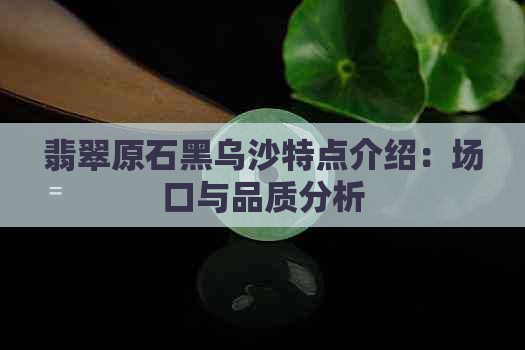 翡翠原石黑乌沙特点介绍：场口与品质分析