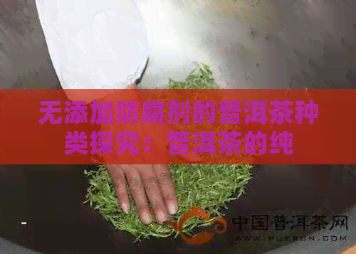 无添加防腐剂的普洱茶种类探究：普洱茶的纯