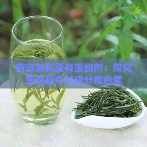 普洱茶有没有添加剂：探究普洱茶中的成分和色素