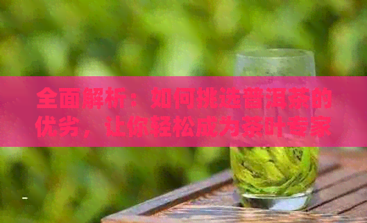 全面解析：如何挑选普洱茶的优劣，让你轻松成为茶叶专家