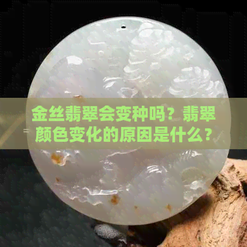 金丝翡翠会变种吗？翡翠颜色变化的原因是什么？