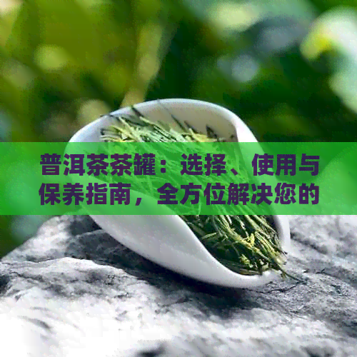 普洱茶茶罐：选择、使用与保养指南，全方位解决您的疑问