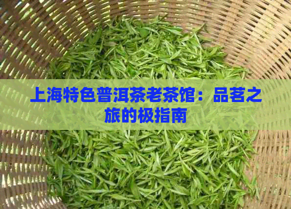 上海特色普洱茶老茶馆：品茗之旅的极指南