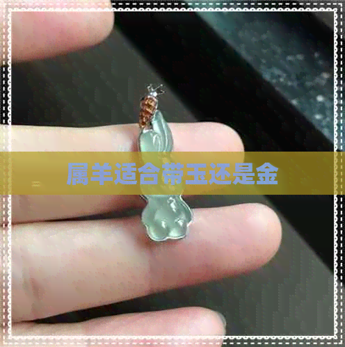 属羊适合带玉还是金