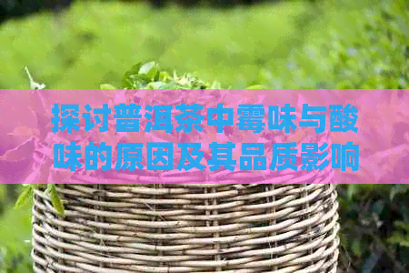 探讨普洱茶中霉味与酸味的原因及其品质影响