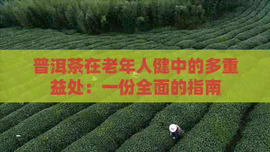 普洱茶在老年人健中的多重益处：一份全面的指南