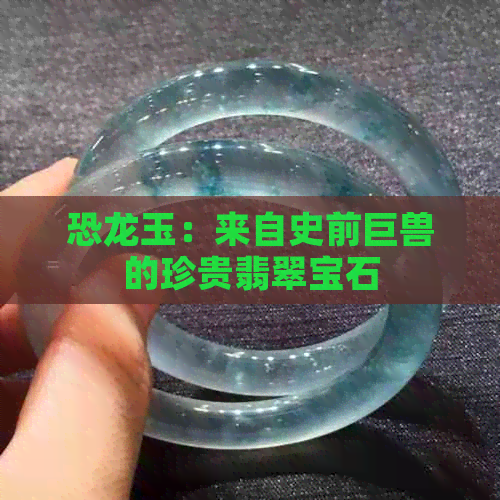 恐龙玉：来自史前巨兽的珍贵翡翠宝石