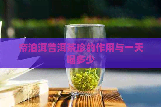 帝泊洱普洱茶珍的作用与一天喝多少