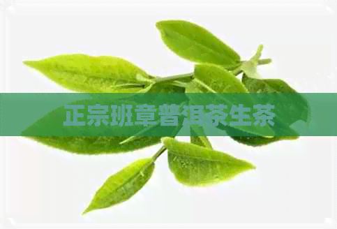 正宗班章普洱茶生茶