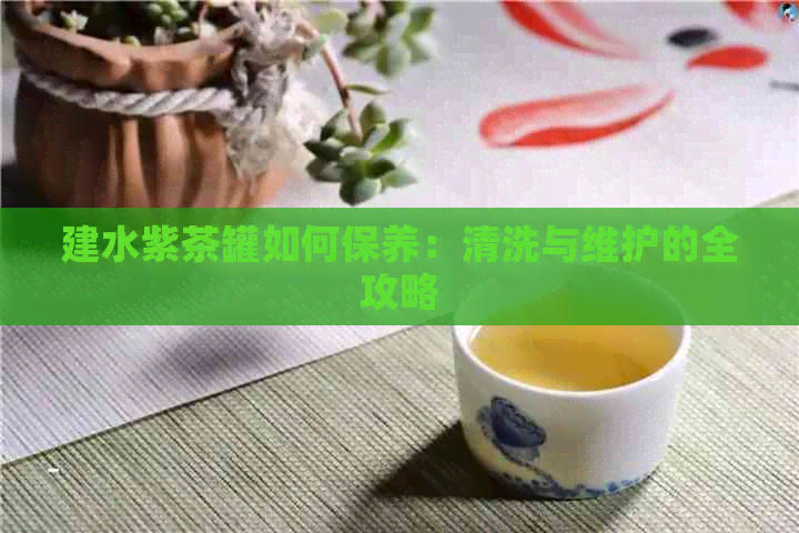 建水紫茶罐如何保养：清洗与维护的全攻略