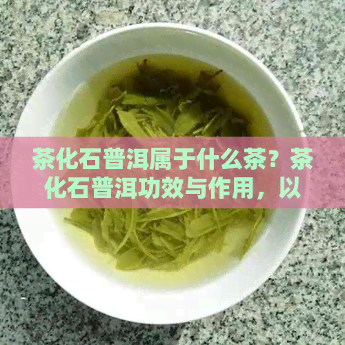 茶化石普洱属于什么茶？茶化石普洱功效与作用，以及熟茶的品质如何。