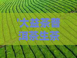 '大益茶普洱茶生茶2007年价格汇总：0752、8542、0782和0732'