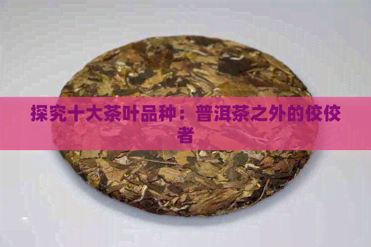 探究十大茶叶品种：普洱茶之外的佼佼者