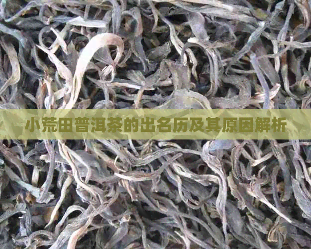 小荒田普洱茶的出名历及其原因解析