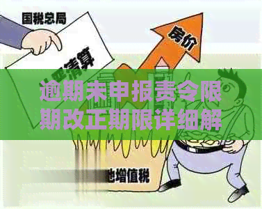 逾期未申报责令限期改正期限详细解读：一般天数、期申请及后果全解析