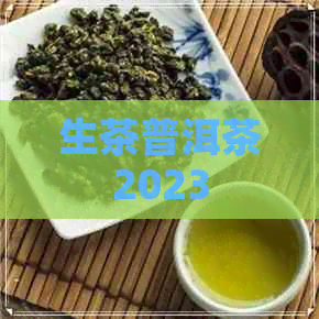 生茶普洱茶2023