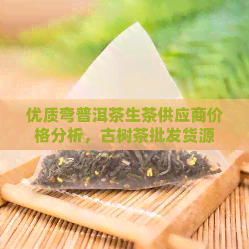 优质弯普洱茶生茶供应商价格分析，古树茶批发货源