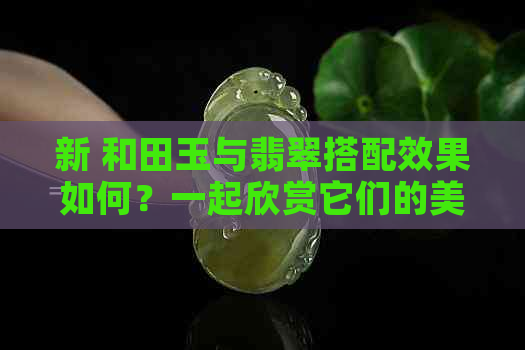 新 和田玉与翡翠搭配效果如何？一起欣赏它们的美