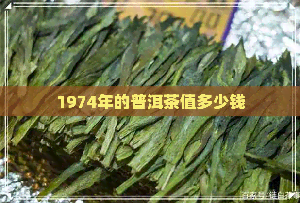 1974年的普洱茶值多少钱