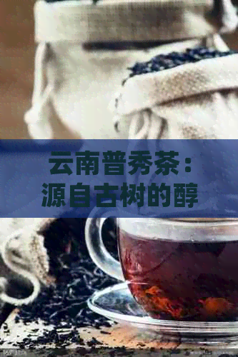 云南普秀茶：源自古树的醇厚滋味，批发优中