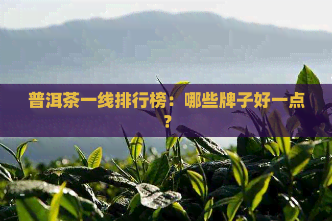 普洱茶一线排行榜：哪些牌子好一点？