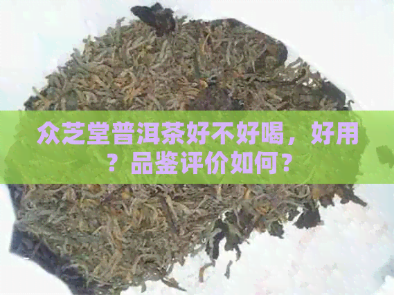 众芝堂普洱茶好不好喝，好用？品鉴评价如何？