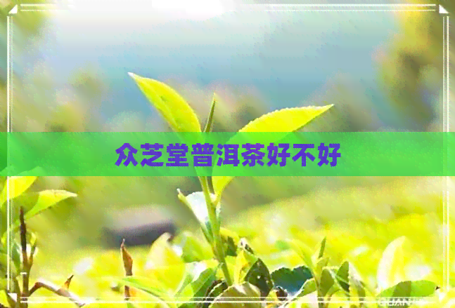 众芝堂普洱茶好不好