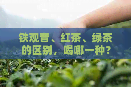 铁观音、红茶、绿茶的区别，喝哪一种？