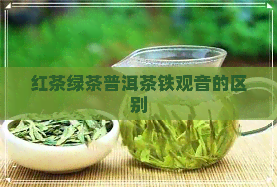 红茶绿茶普洱茶铁观音的区别