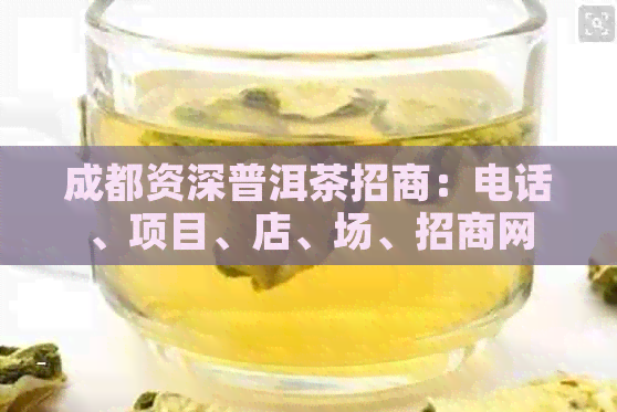 成都资深普洱茶招商：电话、项目、店、场、招商网