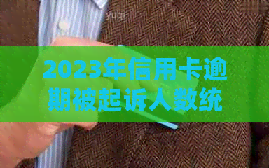 2023年信用卡逾期被起诉人数统计：揭示信用危机的严重性