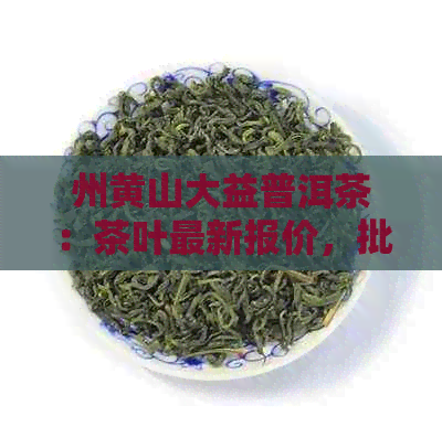 州黄山大益普洱茶：茶叶最新报价，批发厂家大全图片