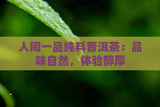 人间一品纯料普洱茶：品味自然，体验醇厚