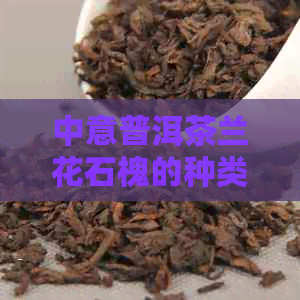 中意普洱茶兰花石槐的种类与鉴别方法