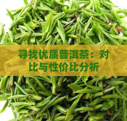 寻找优质普洱茶：对比与性价比分析